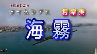 根室港タイムラプス海霧(ショート)