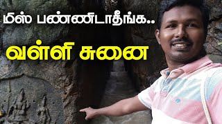 Valli Sunai waterfalls | Hidden tourist place in Kanyakumari | Valli Chunai | வள்ளி சுனை | Tamil