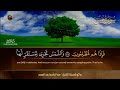 سورة يس مباشر الشيخ عبد الباسط عبد الصمد شفاء وبركة وحفظ من الشيطان surat yasin