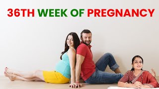 36th week of pregnancy