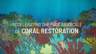 Accelerating the Pace and Scale of Coral Restoration