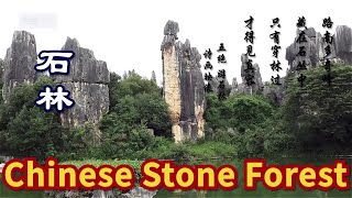 World Natural Heritage Chinese Stone Forest. \