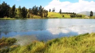 A la salida de Choclococha - Trio Amanecer de Huancavelica (Imágenes Choclococha Acobamba Hvca) A la salida de Choclococha - Trio Amanecer de Huancavelica (Imágenes Choclococha Acobamba Hvca)