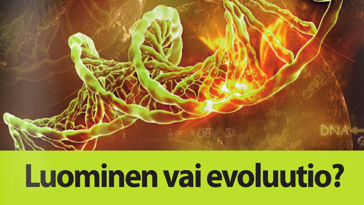 Luominen Vai Evoluutio? Luentosarjan Mainosvideo - YouTube