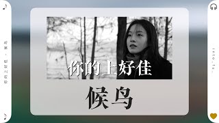 《候鸟》-  你的上好佳｜『♪ 可惜我只是只候鸟 栖息 在你的冬季』｜动态歌词视频 (Pinyin Karaoke Lyrics)｜C-POP