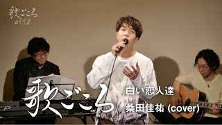 【歌ごころ】052「白い恋人達 / 桑田佳祐」 covered by 中澤卓也