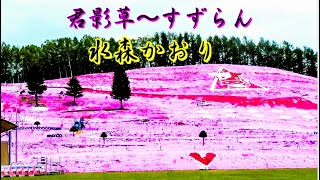 君影草~すずらん　水森かおり