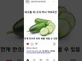 한달에 10키로 빠지는 다이어트 음식들