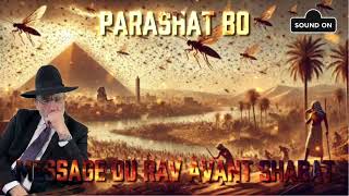 Parashat Bo 5785 (2025) Message du Rav avant Shabat 🇮🇱