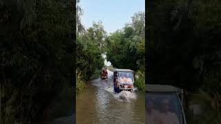 অনেক সুন্দর নয়নাভিরাম প্রাকৃতিক  অঞ্চল সিংড়া চলনবিল