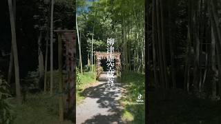 【宮城の癒しスポット】宮城県登米市津山町　柳津虚空蔵尊