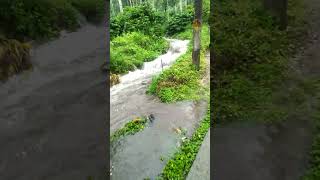 മഴയത്ത് വന്ന വെള്ളം