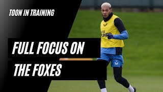 TOON IN TRAINING | Full Focus on the Foxes