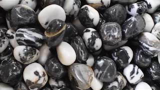 Wholesale Polished Tumbled Black and White Zebra Jasper Healing Crystals