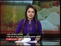 সরকারের নীতির কারণেই কৃষকের সর্বনাশ jamuna tv