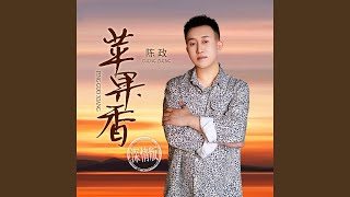 苹果香 (师徒对唱dj沈念版)