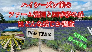 【絶景】ハイシーズン前のファーム富田と四季彩の丘へ