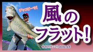 【今日のナンコ！2022.4.8】風のフラット！【琵琶湖バス釣り】