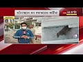 leopard বাড়ির পিছনে লুকিয়ে পড়ে চিতাবাঘ আতঙ্কিত কোচবিহারের মানুষ । coochbehar