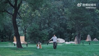 [한글자막] 강아지랑 같이 놀러가요🐶🐾🏕️