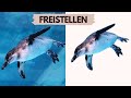 📸 Bild Freistellen & Hintergrund Entfernen mit Autoclipping - Einfach & Schnell erklärt!