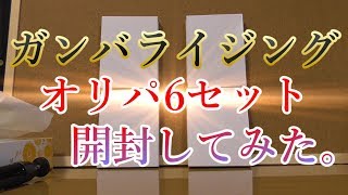 ガンバライジングオリパ6セット開封してみた。