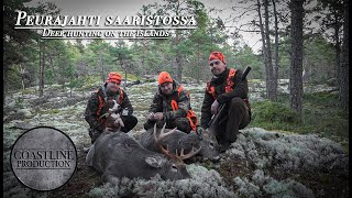 Peurajahti saaristossa - Deer hunting on the islands