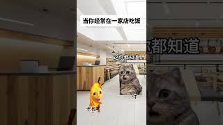 当你经常在一家饭店吃饭 #猫meme #funny #搞笑 #喵不可言 #cat #猫meme小剧场 #shorts