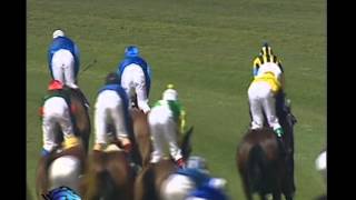 Dubai Sheema Classic 2001 - STAY GOLD