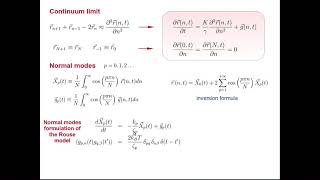 Polymer Dynamics