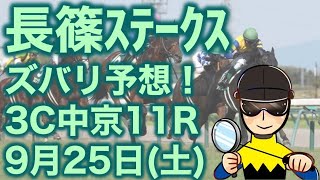 【投資競馬塾】長篠ステークス（3C）中京11R★ズバリ予想！★令和3年9月25日（土）