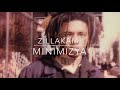 zillakami minimizya feat. idk 432hz