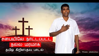 சபையிலே நாட்டப்பட்ட | Sabaiyile Naattapatta Nalla Maramaga | Tamil Christian Song