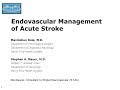 Endovascular Management of Acute Stroke