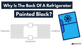 HOTS Questions | Heat | Why Is The Back Of A Refrigerator Painted Black?