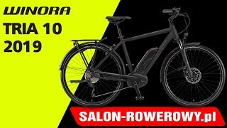 rower Winora Tria 10 czarny 2019 www.salon-rowerowy.pl