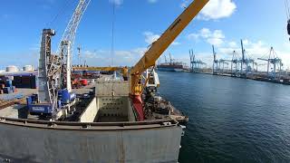 m/v Hollandia 1 day in the Port of Rotterdam