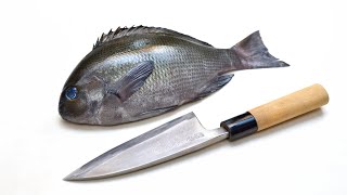 関孫六 出刃包丁でメジナを捌く Filleting Fish