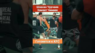 Хамзат Чимаев тренирует Шовхала Чурчаева к дебюту в UFC.