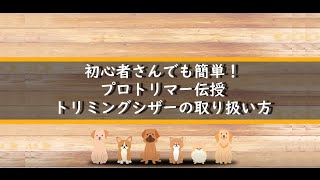 【トリミングシザー】トリマー直伝！ハサミの正しい使い方、持ち方、切り方など使用例付き！初心者の方も安心！スキバサミ/ペット/犬/猫/兎/Amazon/楽天市場【通販 Latuna公式チャンネル】