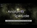 Anatomia Spirituale - Che cosa sono i punti e come localizzarli - Heartfulness Meditation