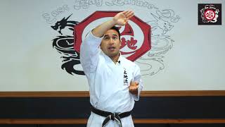 Upward Block Tutorial - East Bay Karate-Do : Pittsburg, CA - Learn Martial Arts