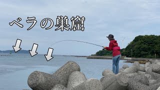 【天草の釣り／キス】本渡から通詞島まで、ちょい投げ釣り修行