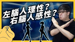 「右腦圖像學習法」學英文特別有用？全腦開發可以讓人變得更聰明嗎？《 七七科學探索 》EP 011｜志祺七七