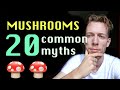 Psychedelics: Top 20 Myths Around Mushroom Trips