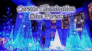 Caretta Shiodome Christmas Lights ～Blue Forest～2011 Illumination / カレッタ汐留クリスマスイルミネーション