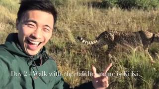 非洲 Namibia Africa - holiday 2016