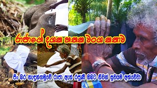 Nadungamuwa Raja නැදුන්ගමුවේ රාජා හස්තියාගේ දශක හතක හස්ති වංශ කතාව කලු මාමා තනිකර නැදුන්  යන්න ගියා