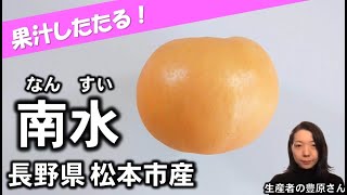 【特大南水梨】梨のおいしさを２倍楽しめる意外な食べ方