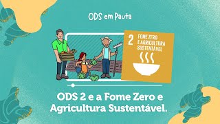 ODS 2 – FOME ZERO E AGRICULTURA SUSTENTÁVEL #ODS2 #AGENDA2030